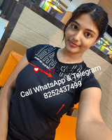 Niwai❤Call Girls> 8252437499❤Call Girl